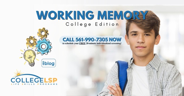 Working Memory